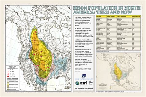 current bison population in usa.